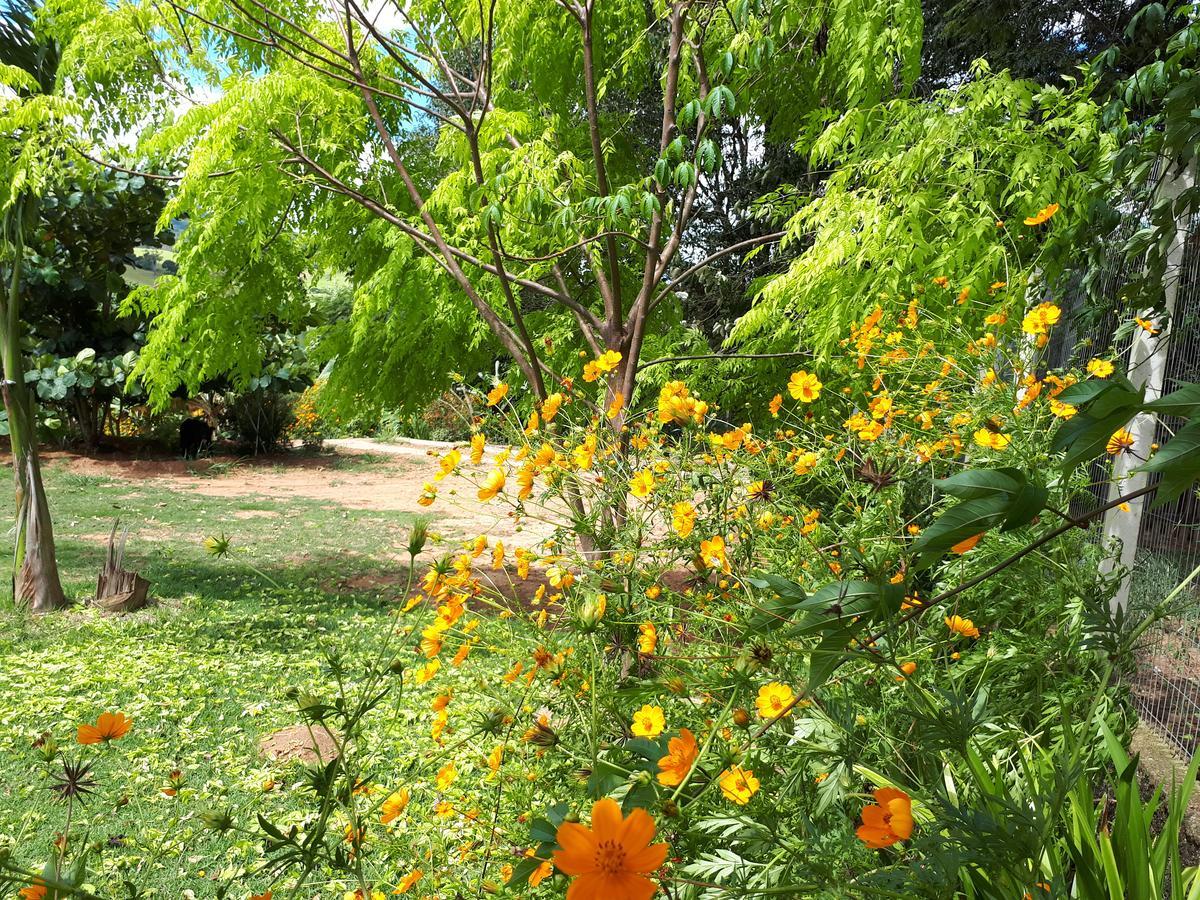 Chacara Leolud Lodge Socorro (Sao Paulo)