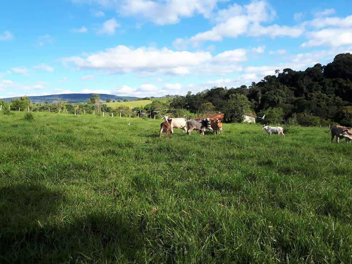 Chacara Leolud Socorro (Sao Paulo)