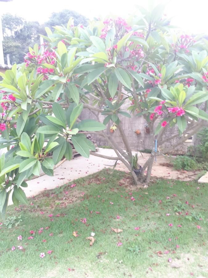 Lodge Chacara Leolud Socorro (Sao Paulo)