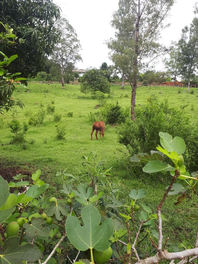 Lodge Chacara Leolud Socorro (Sao Paulo)